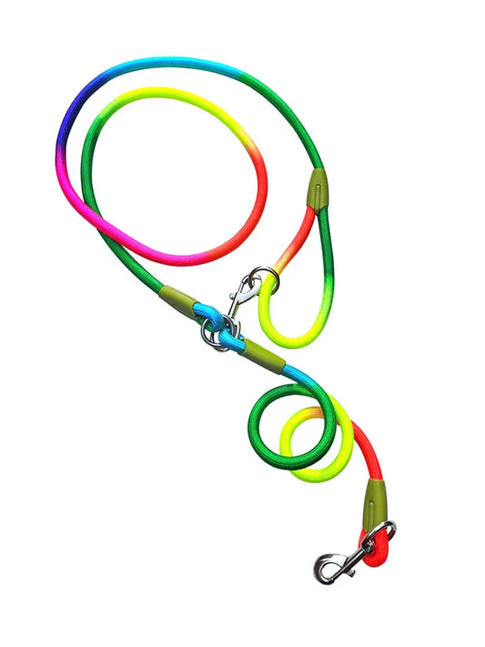 Shine & Stride Leashes