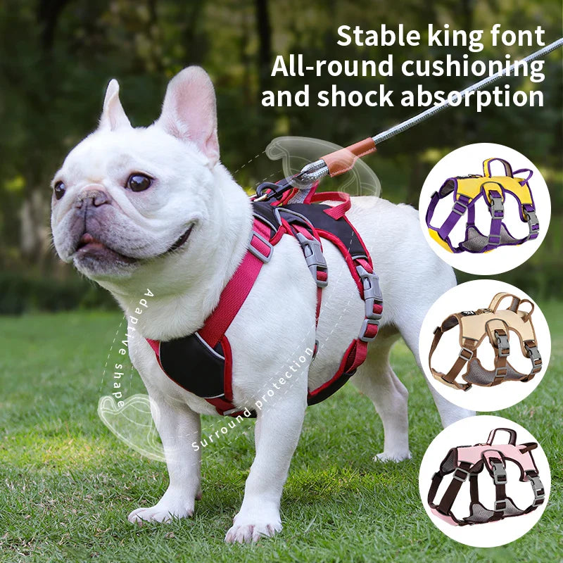Reflective Harness