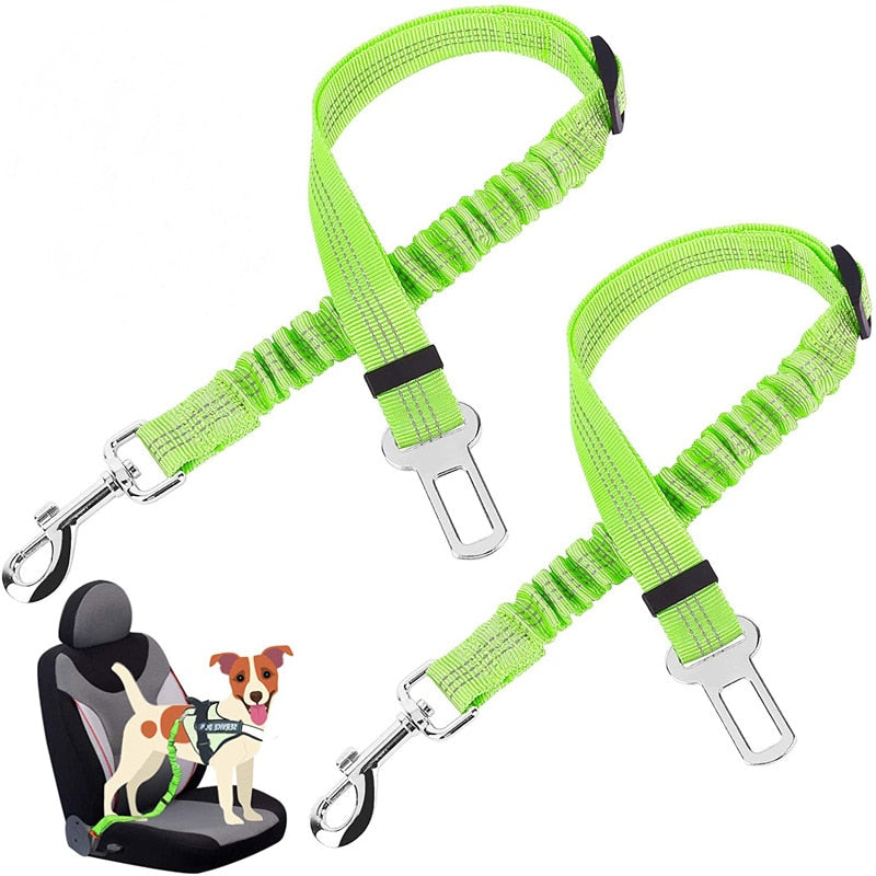 Car Seat Belt