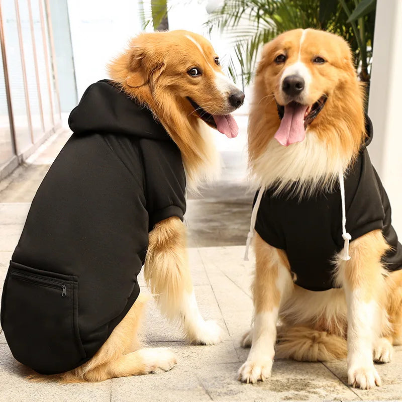 Cool Canine