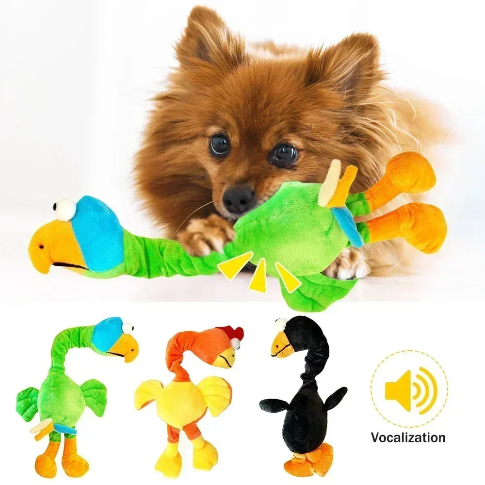 Chicken Toy