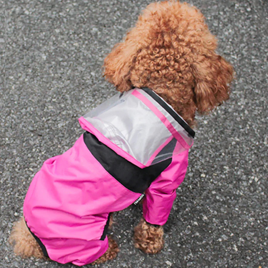 Weather Warrior