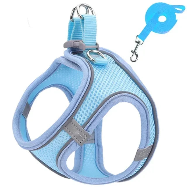 Breathable Walk