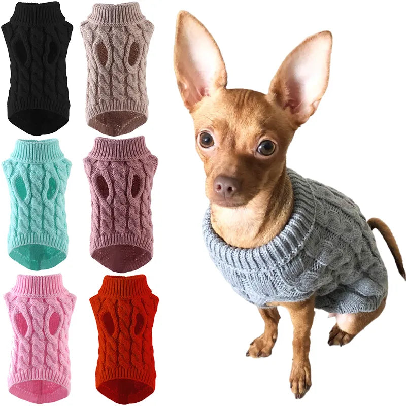 Purrfectly Petite in a Sweater