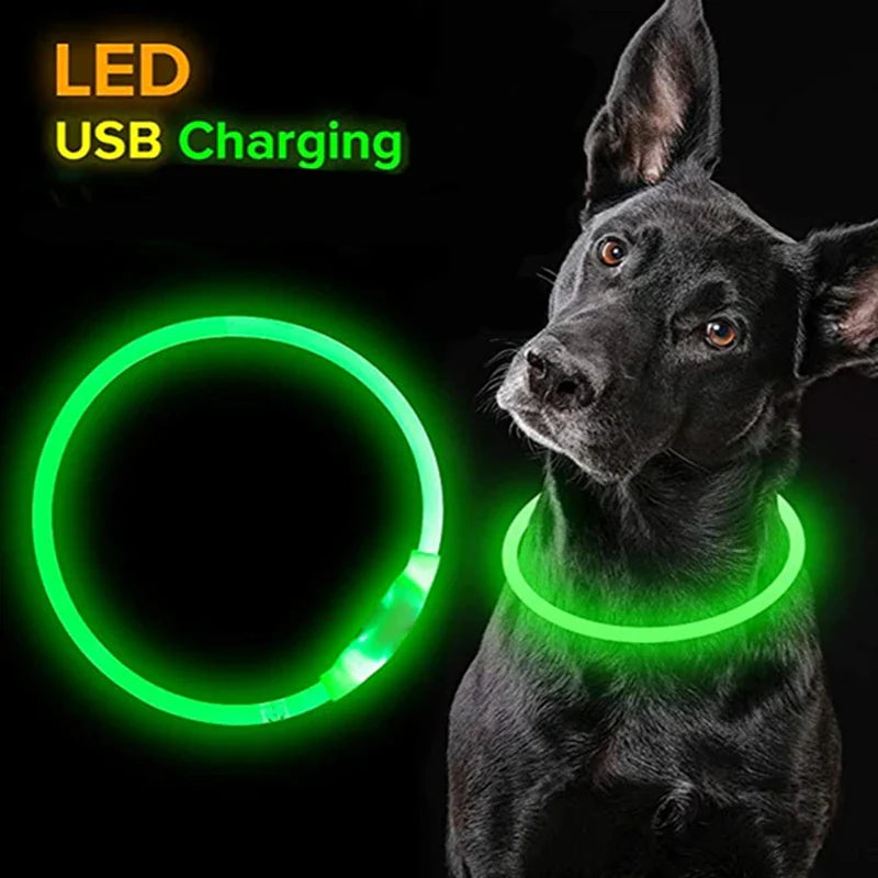 Luminous Dog Collar