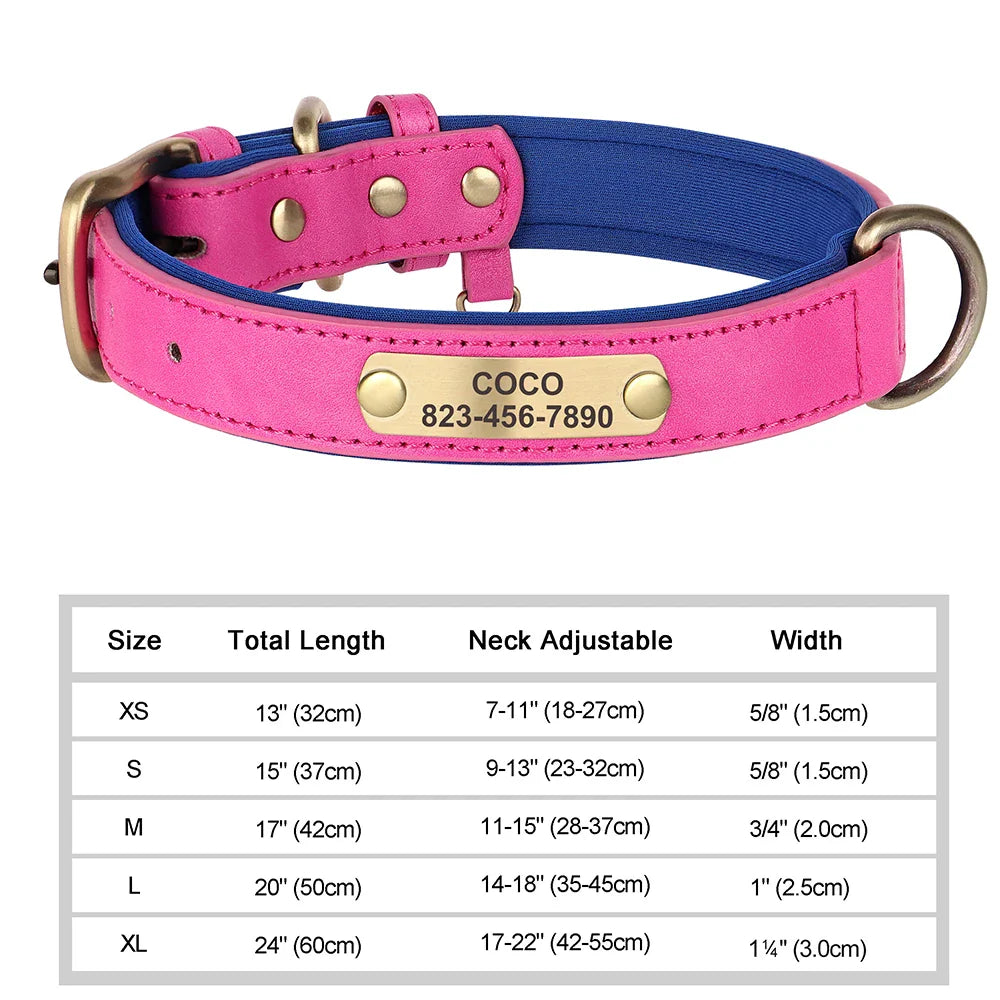Talk of the Town Tag Collar