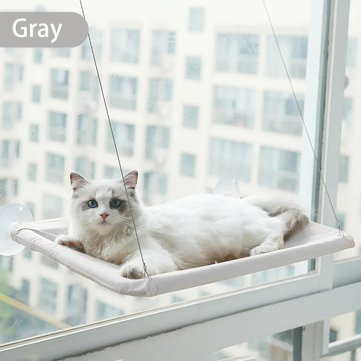 Ember