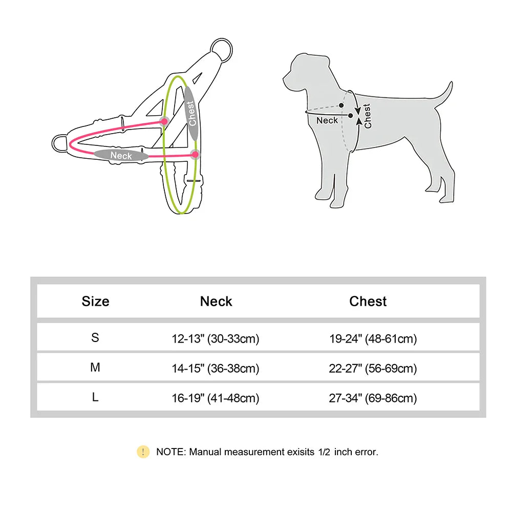 Walk Wise