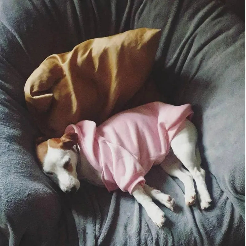 Dog Face Hoodie