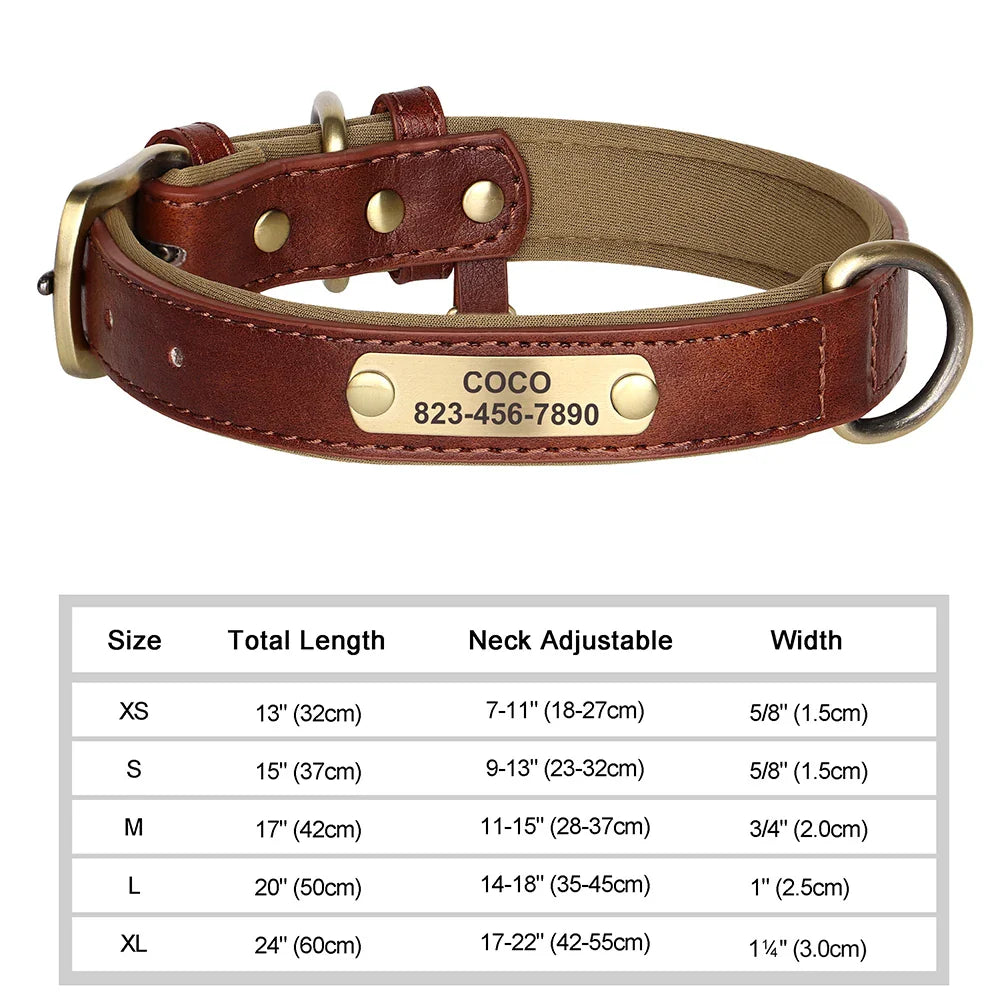 Talk of the Town Tag Collar