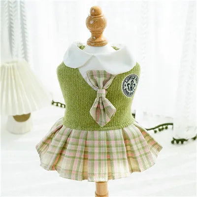 College Dress