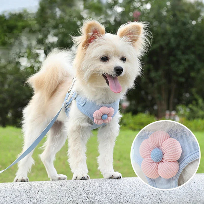 Walkies