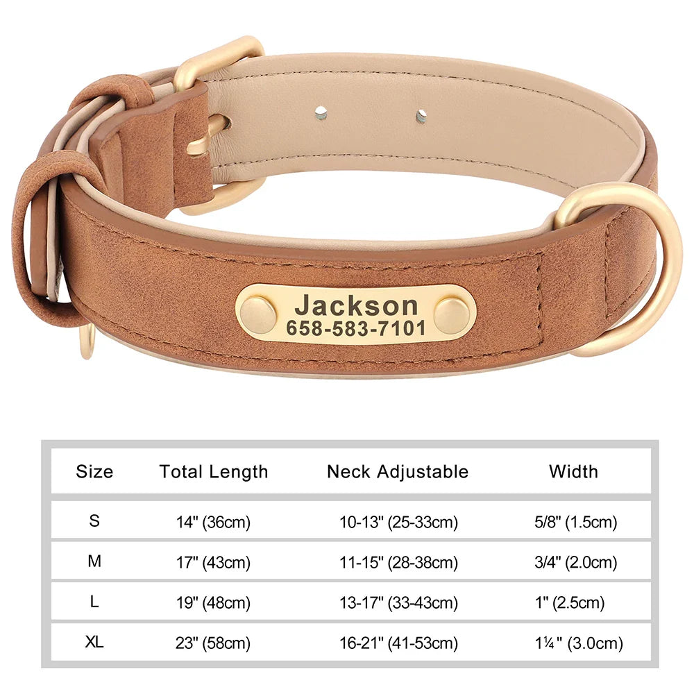 Talk of the Town Tag Collar