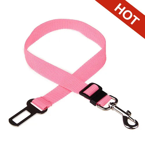 Dunk Belt