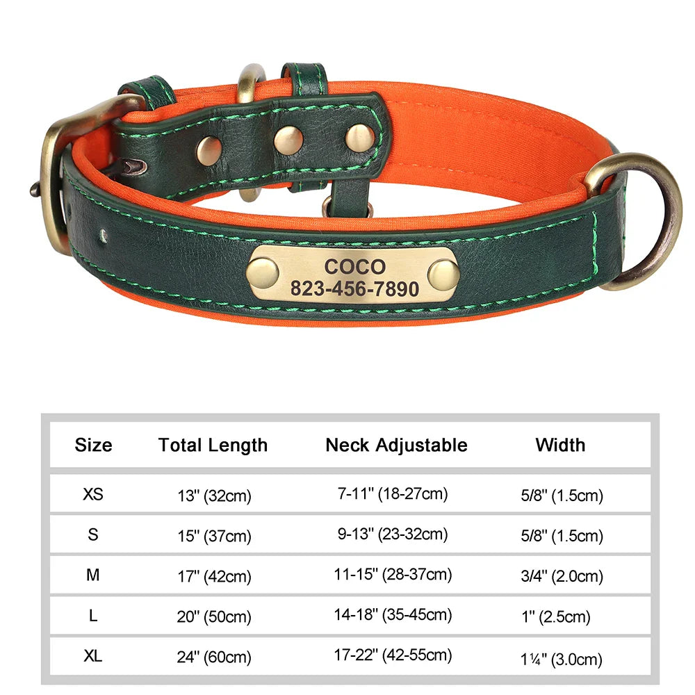Talk of the Town Tag Collar