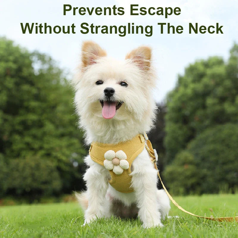 Walkies