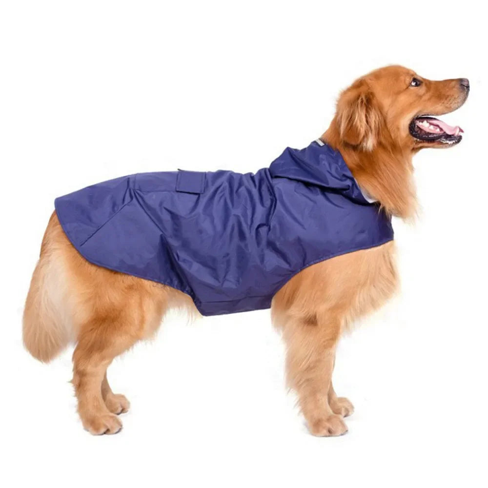Dry Shield