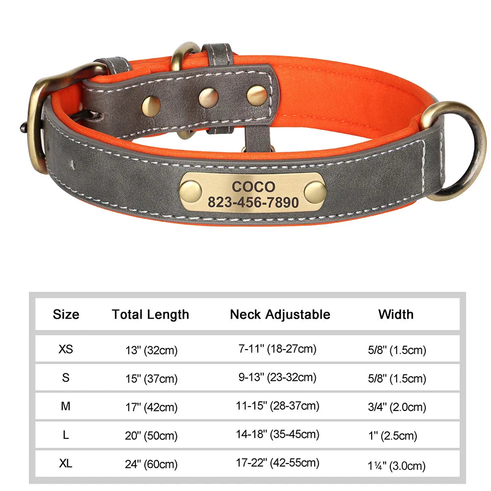 Talk of the Town Tag Collar