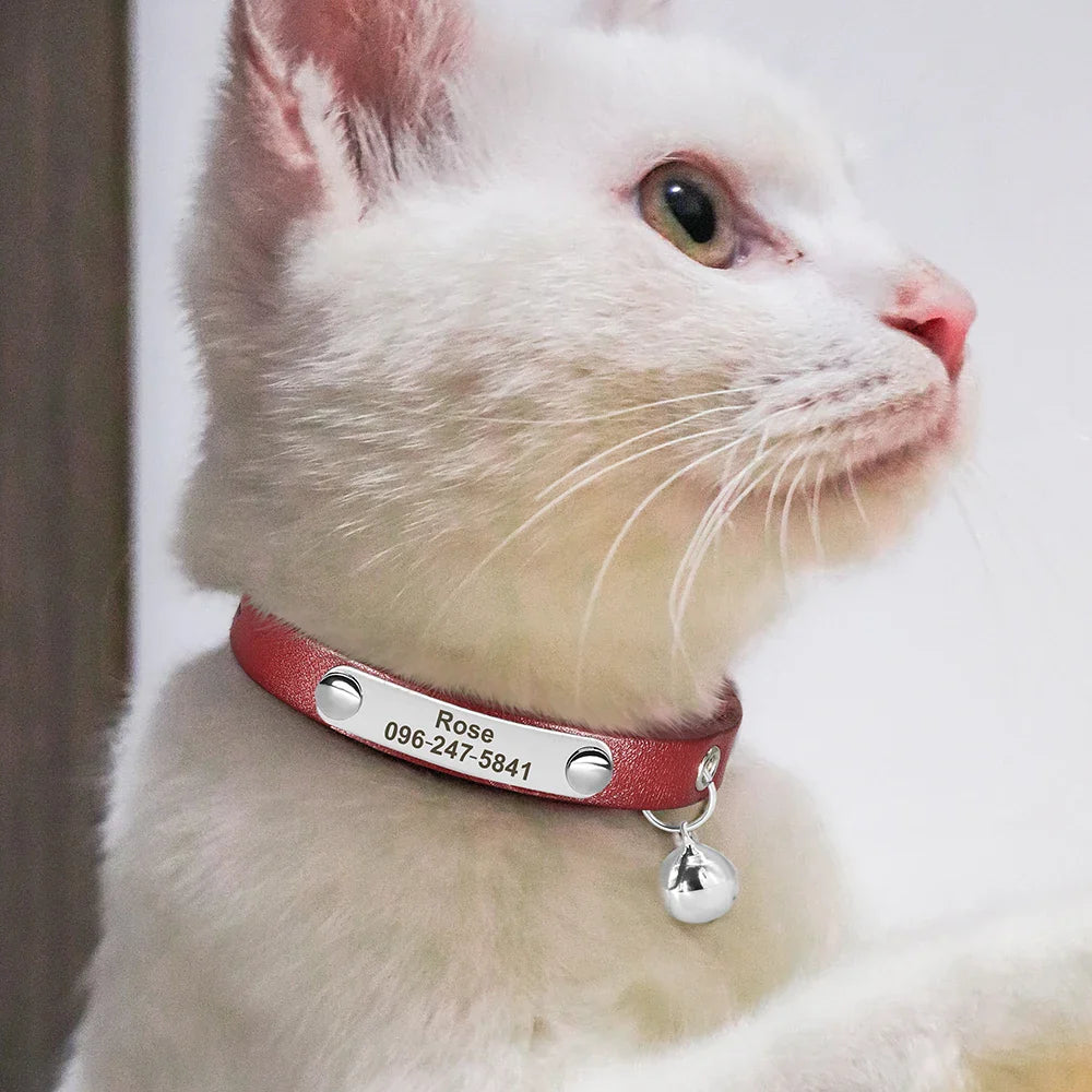 The Guardian Bell Personalized Collar
