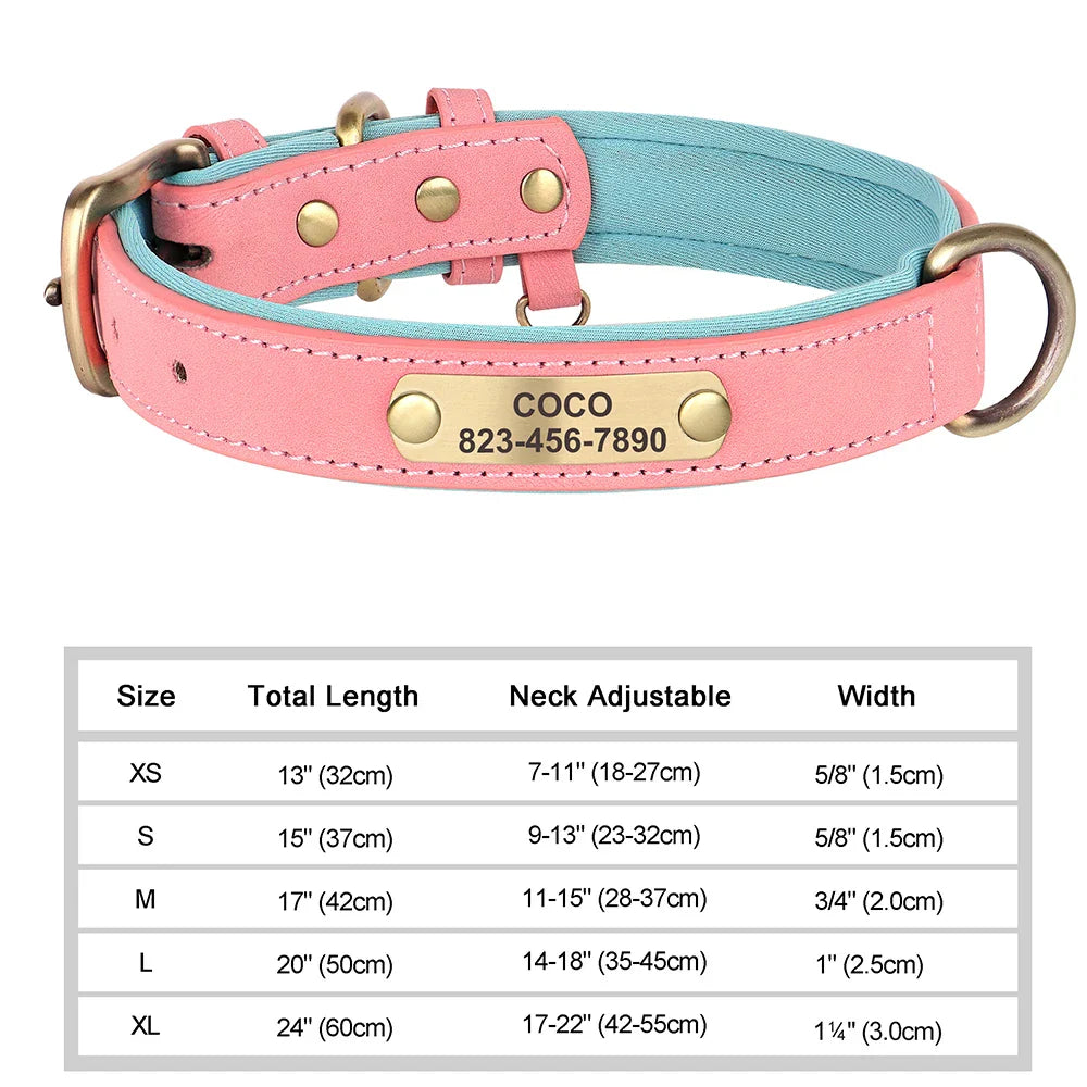 Talk of the Town Tag Collar
