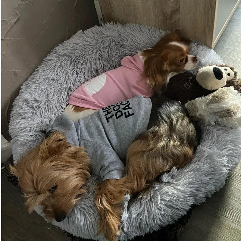 Dog Face Hoodie