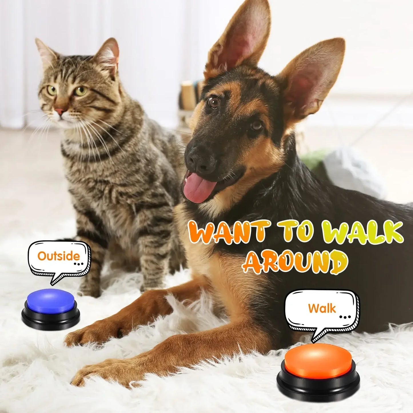 Training Clicker