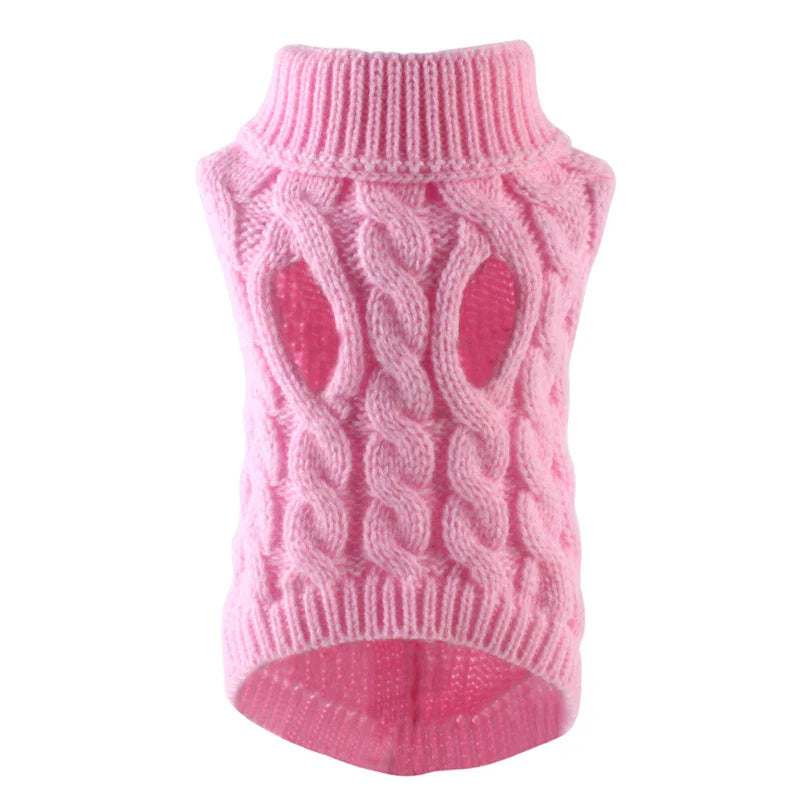 Purrfectly Petite in a Sweater