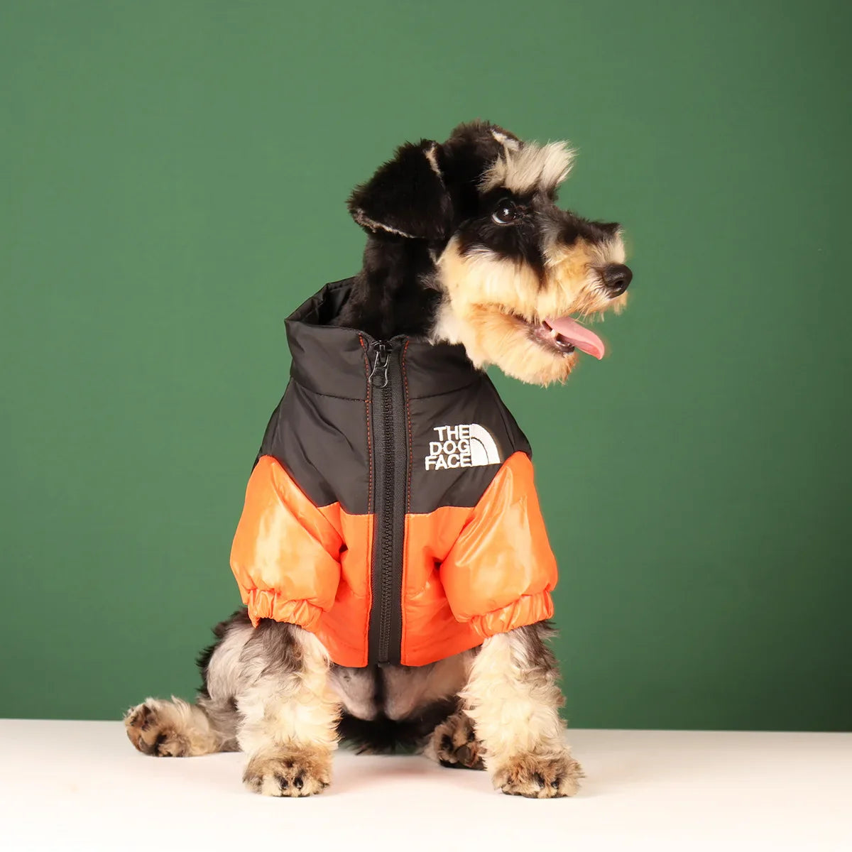 Dog Face Bump Jacket