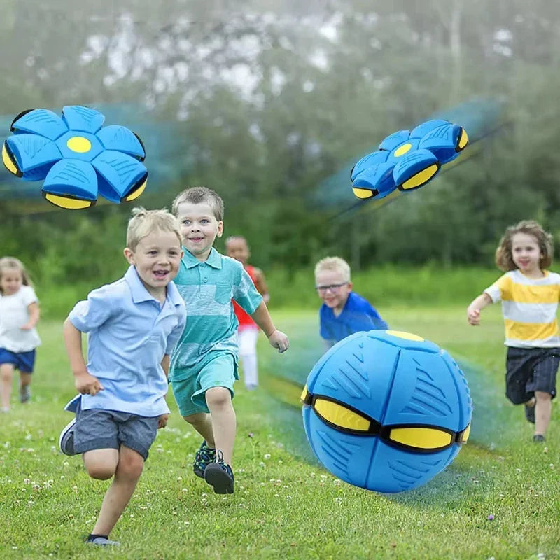 Zoomie Zinger Ball