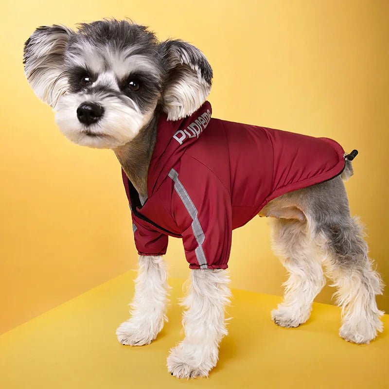 Wind Breaker