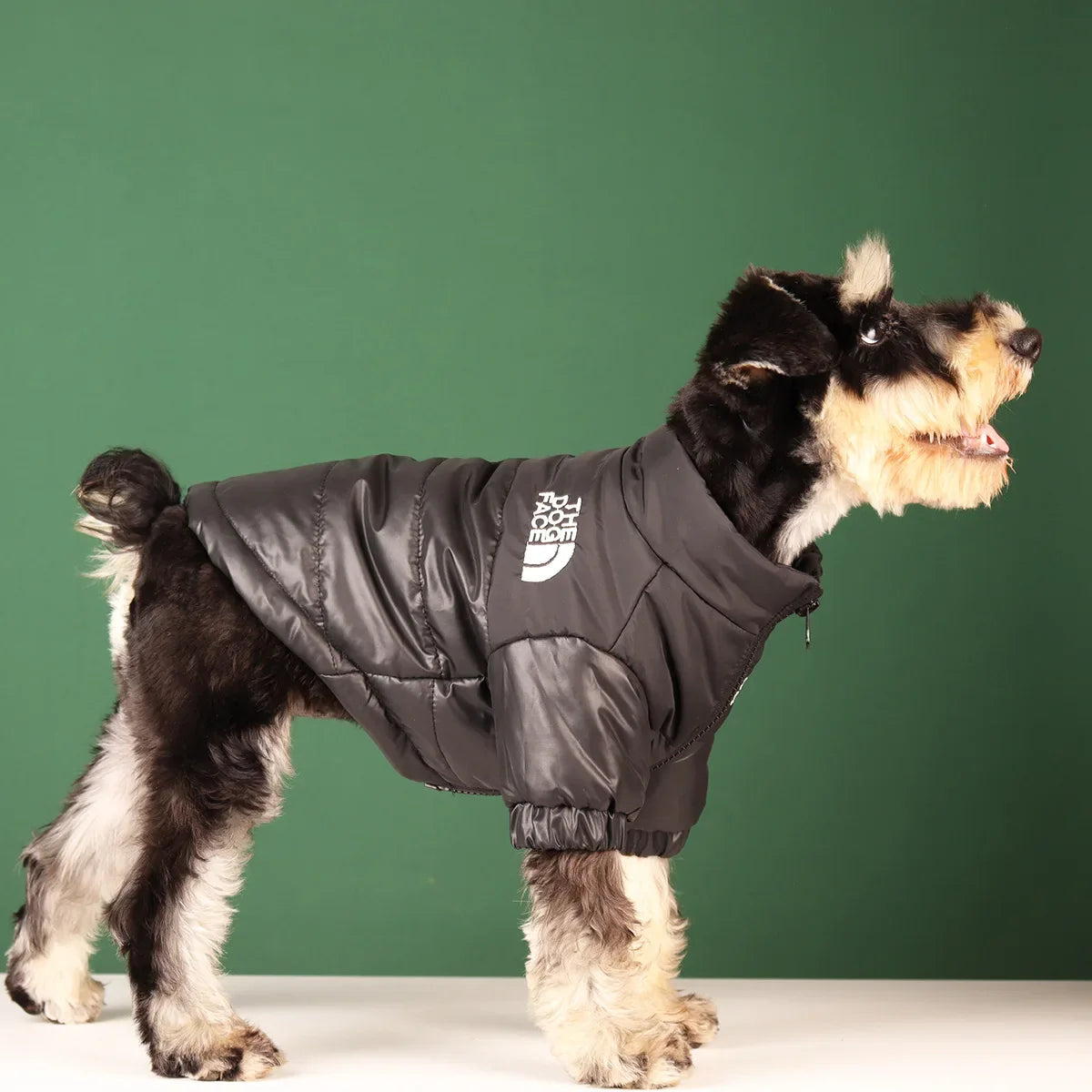 Dog Face Bump Jacket