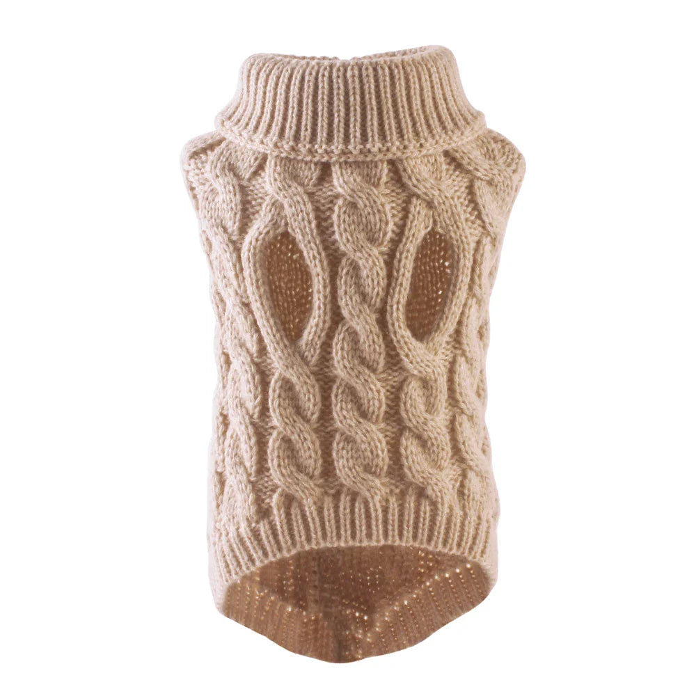 Purrfectly Petite in a Sweater