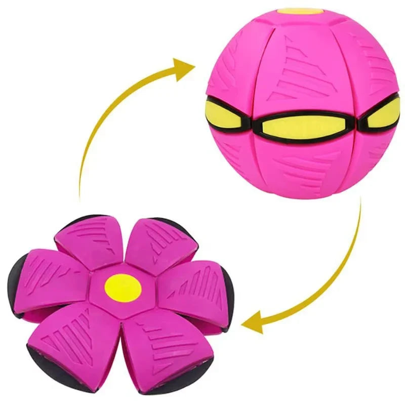 Zoomie Zinger Ball