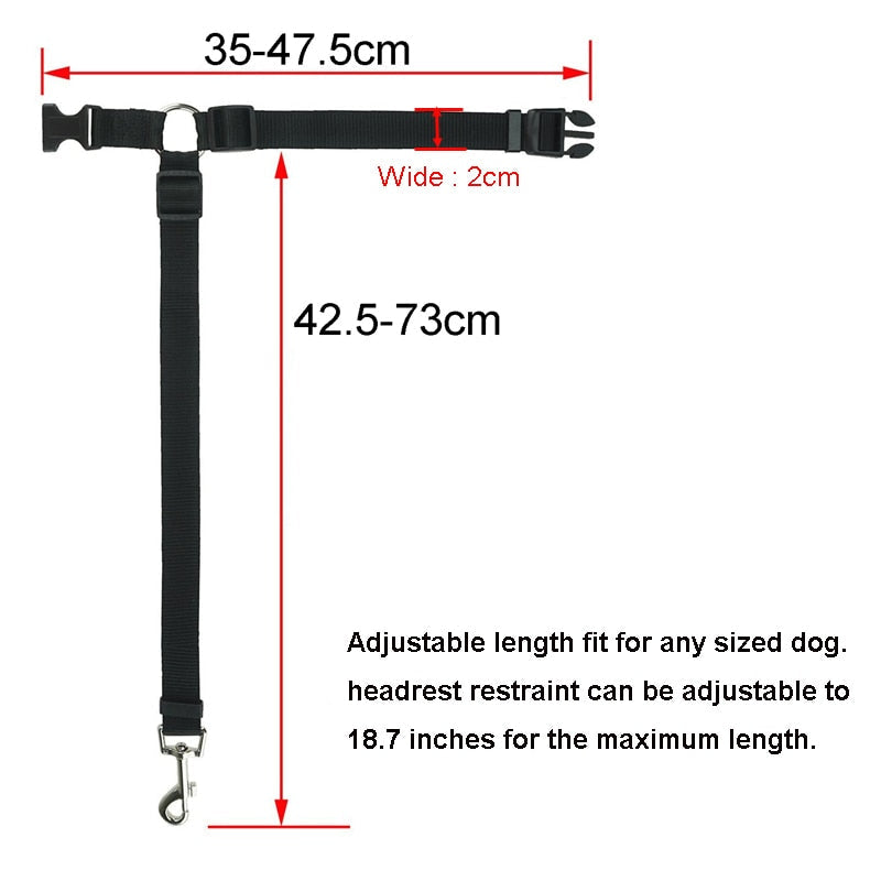 Car Seat Belt