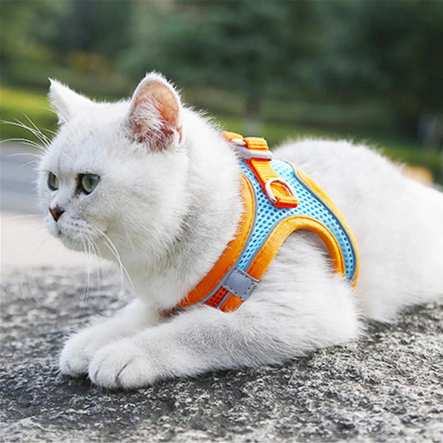 Breathable Walk