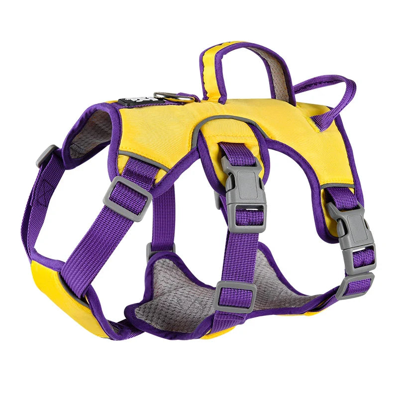 Reflective Harness