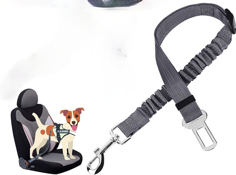 Car Seat Belt