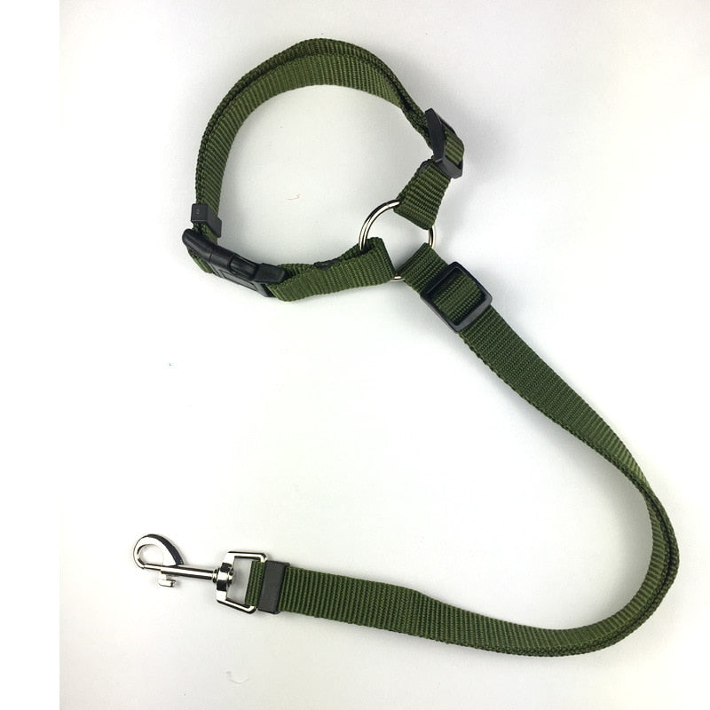 Car Seat Belt