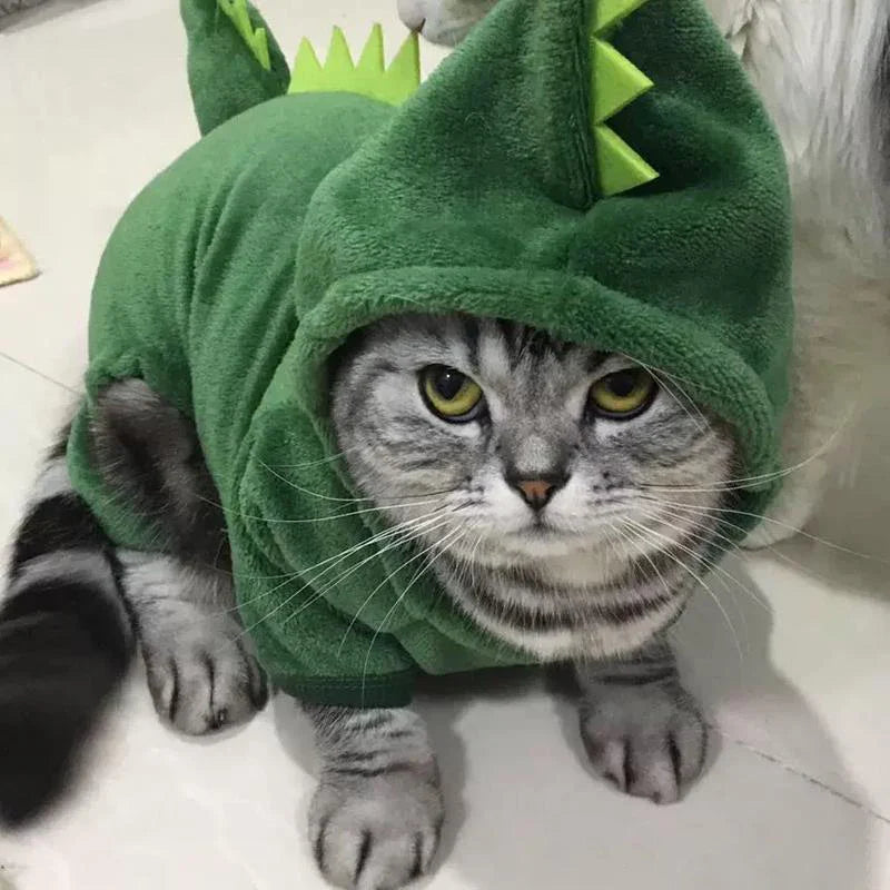 Pajama Party