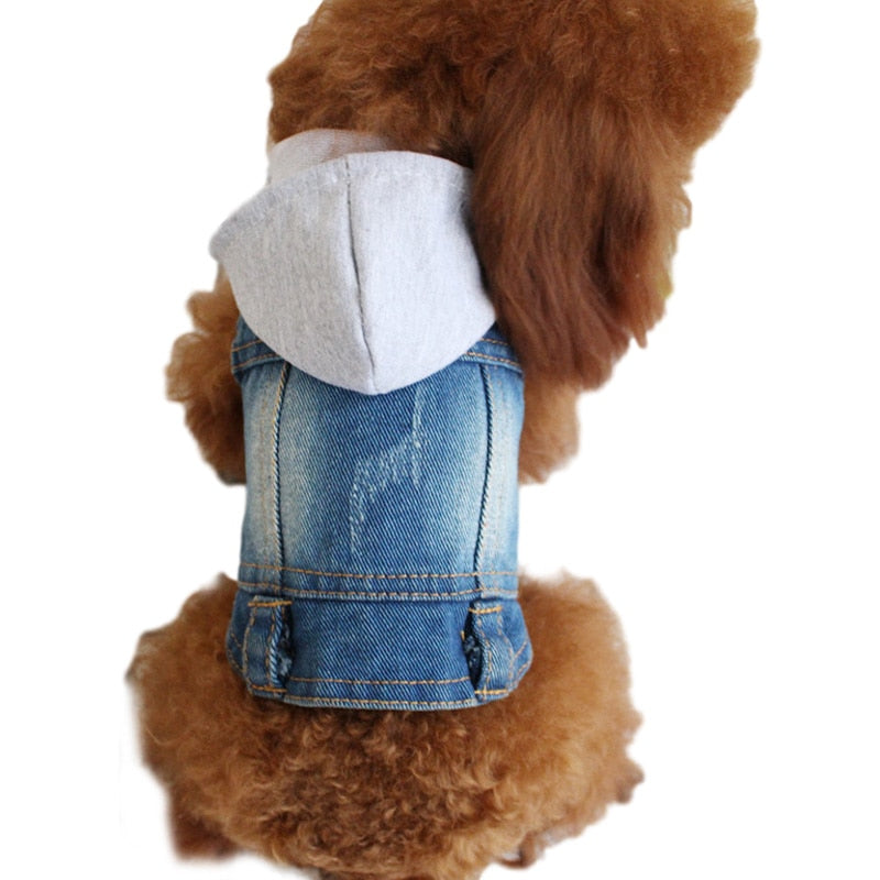 Denim Clothes