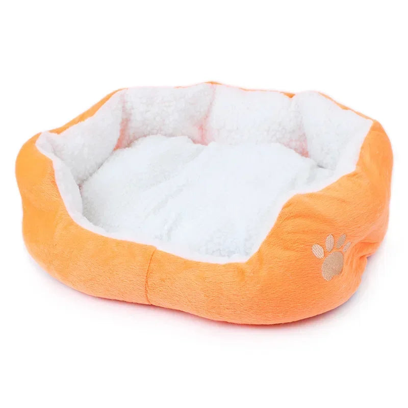 Whisper orange