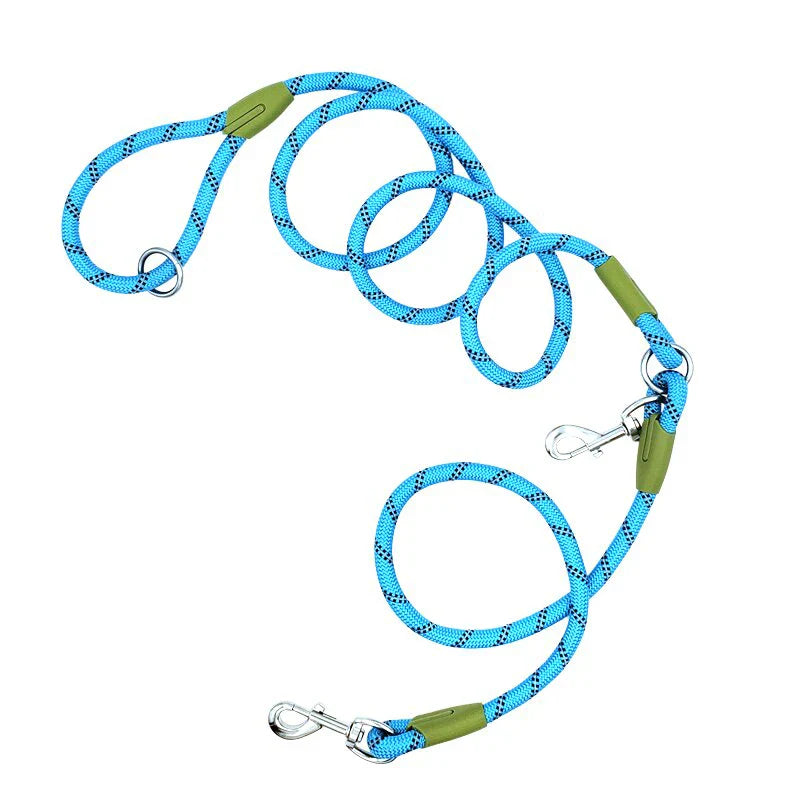 Shine & Stride Leashes