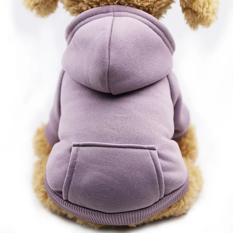 Pocket Paw