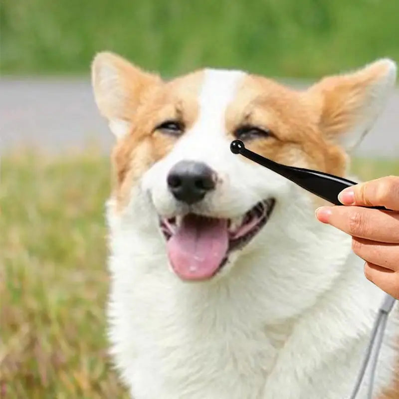 BrightEyes