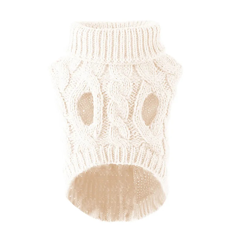 Purrfectly Petite in a Sweater