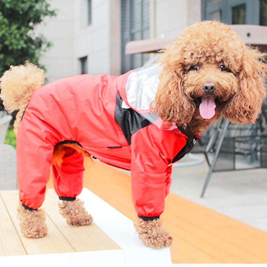 Pupthreads Raincoat