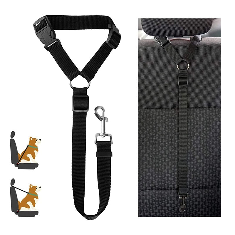 Car Seat Belt