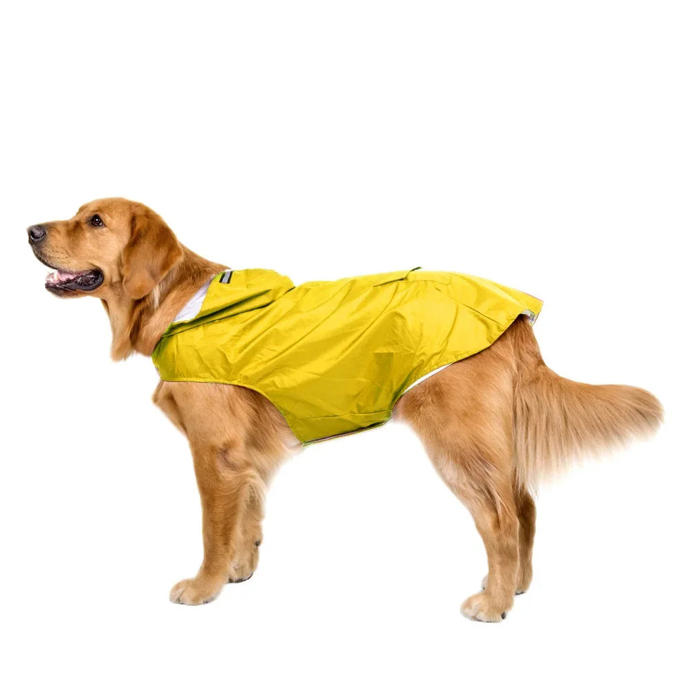 Dry Shield