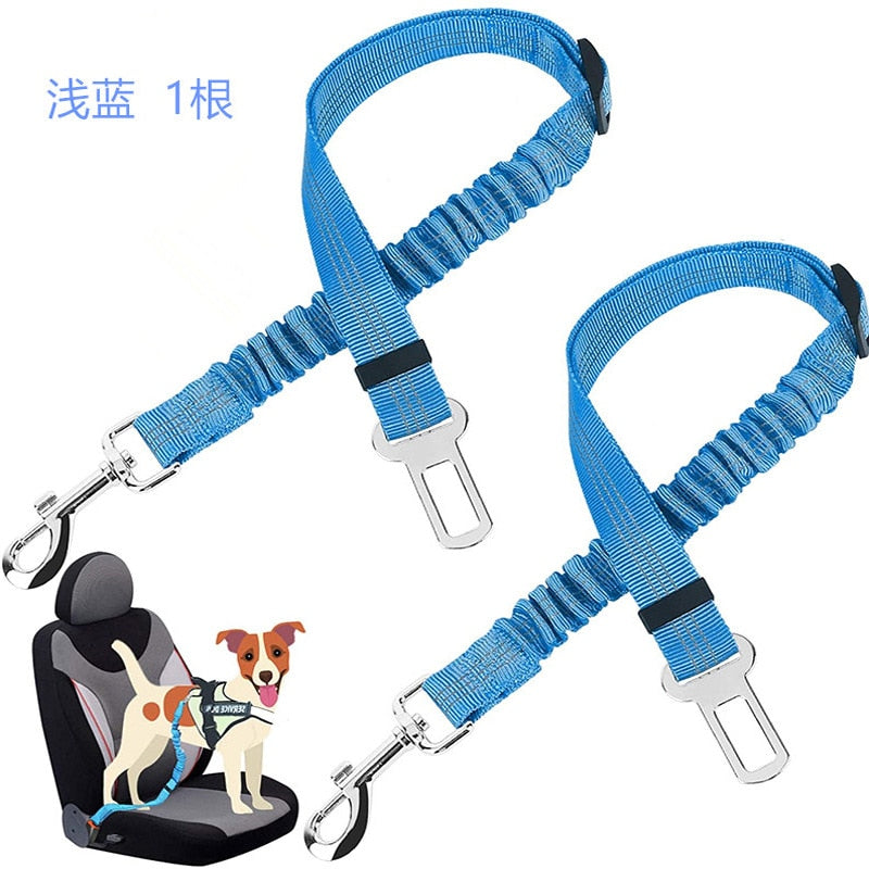 Car Seat Belt