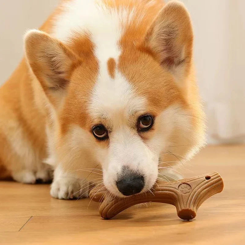 Wooden Deer
